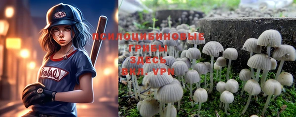 мет Приозерск