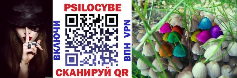 Галлюциногенные грибы Cubensis  Камызяк 
